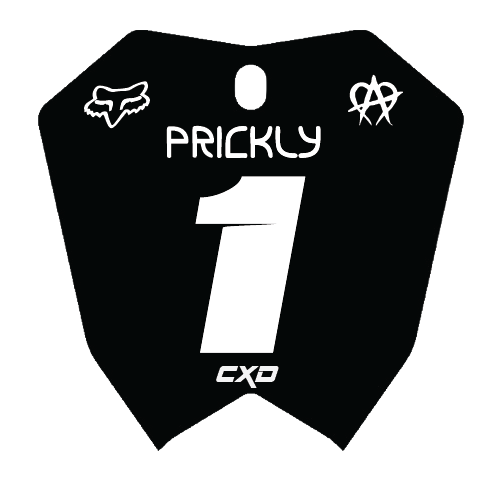 RTR Front Plate Decal